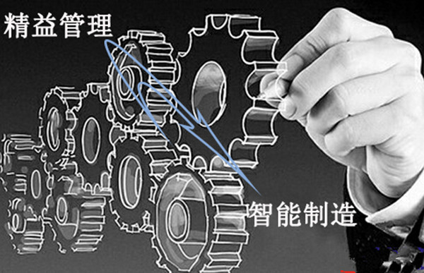 国产一级aa大片毛片